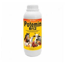 Potemin B12 1L