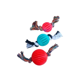 Bola Dental Bone C/ Corda