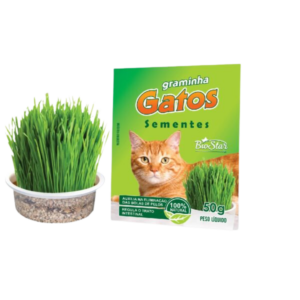 Grama Gato Envelope BioStar