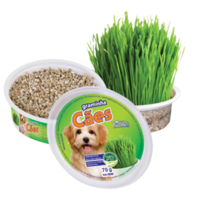 Grama Cão Pote BioStar