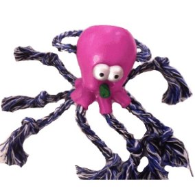POLVO CORDA