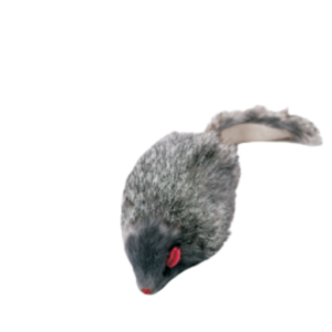 Rato Cinza Pele Cat BioStar