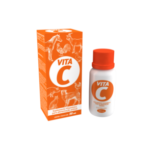 Vita C 20ml
