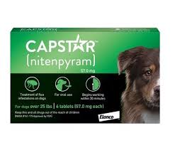 Capstar 57mg - caixa 6 unidades