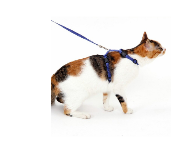 Peitoral com Guia para Gatos BioStar - Imagem 2