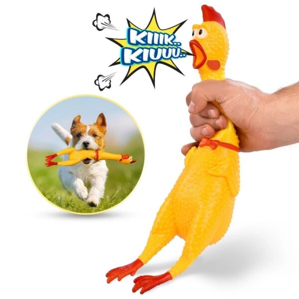 Frango Sonoro BioStar