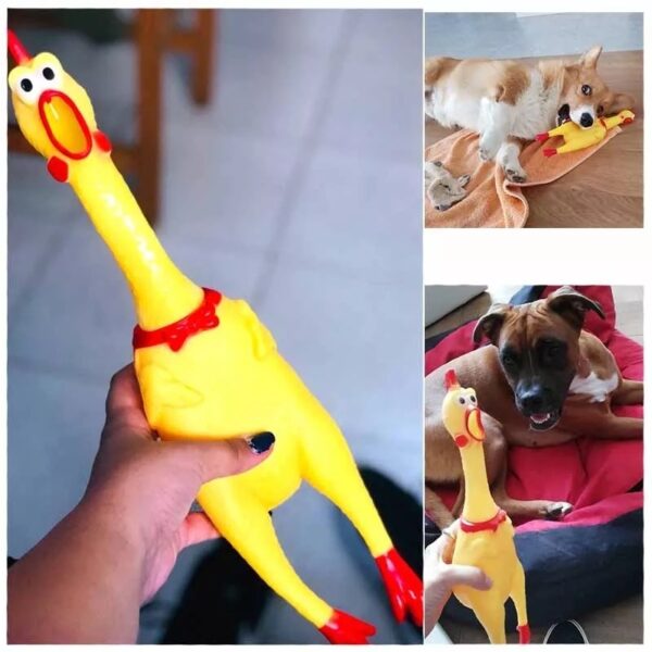 Frango Sonoro BioStar - Imagem 2