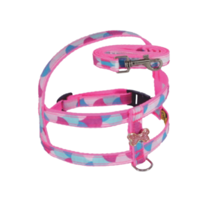Conjunto Peitoral Nylon Catania