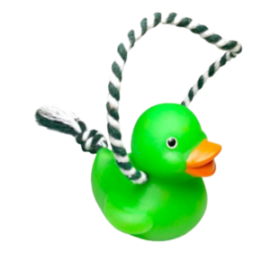 Pato C/ Corda