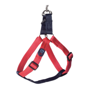 Conjunto Peitoral Walking Liso Vermelho