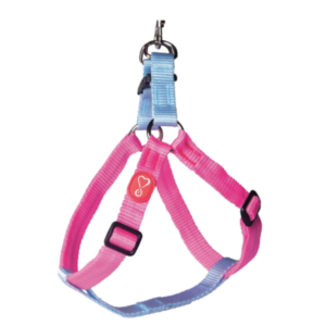 Conjunto Peitoral Walking Liso Rosa Flúor