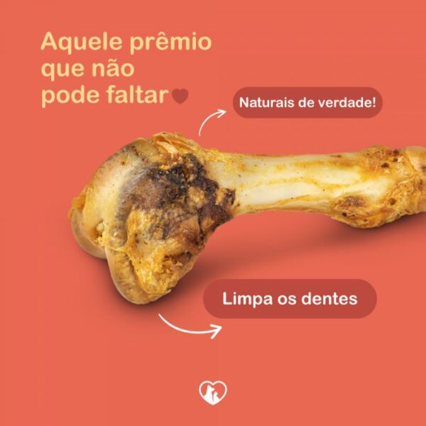 Fêmur Suíno Natural Pacote - Imagem 2