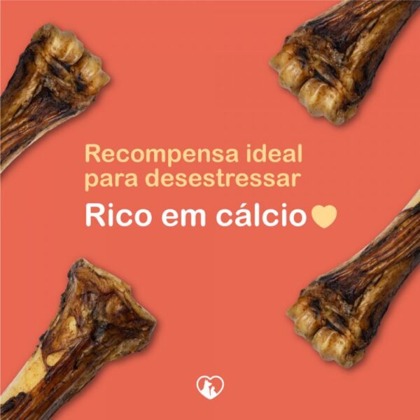 Osso Garra Defumado SK - Imagem 2