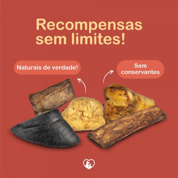 Petiscos Sortidos 8un - Imagem 2