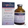 Dexaflan 50ml