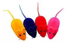 Ratinho Colorido Cat PT C/36
