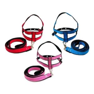 Conj Peitoral  Nylon Couro N4